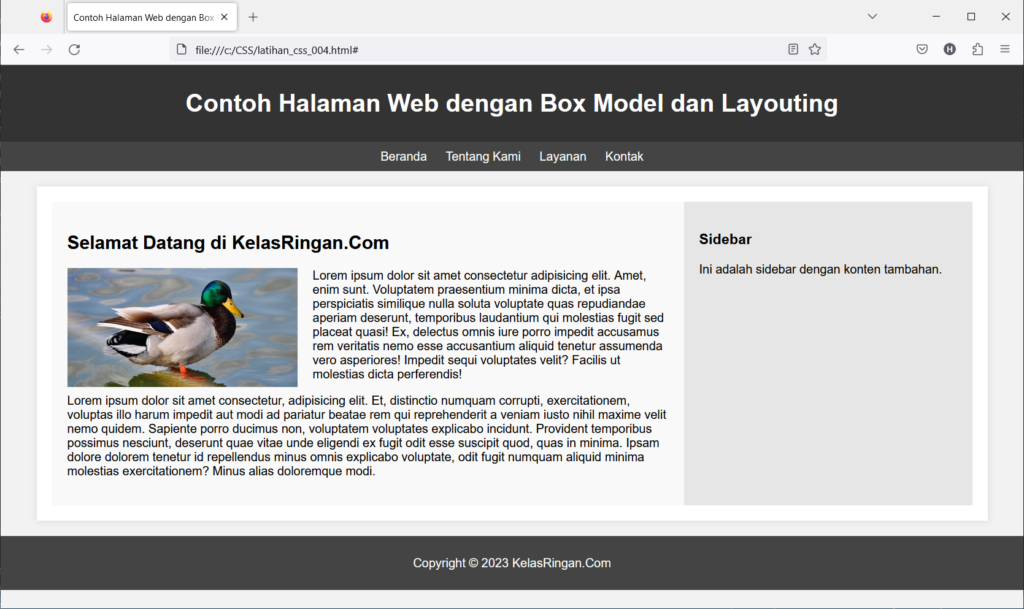 Box Model dan Layouting