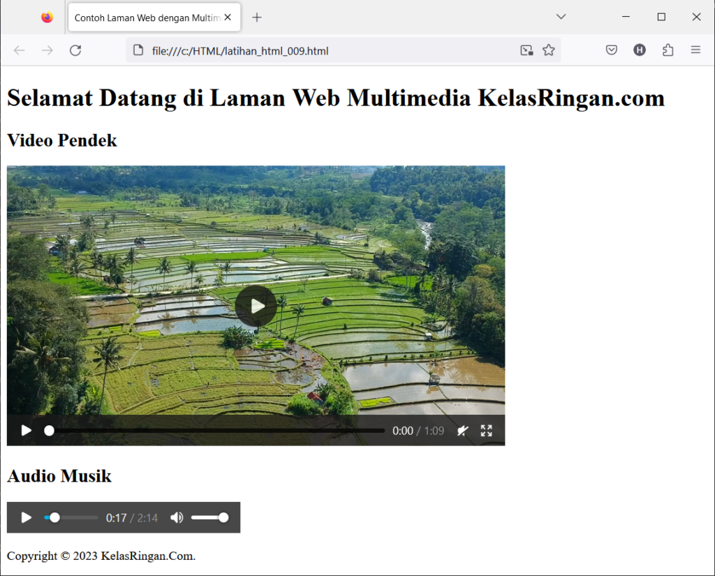 Elemen Multimedia Video dan Audio
